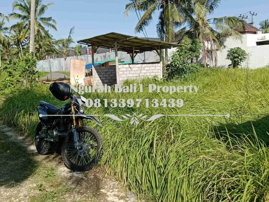 Cantik Land For Sale Murah Luas 500 m2 Kawasan Villa di Lodtunduh Ubud - Image 1 of 5