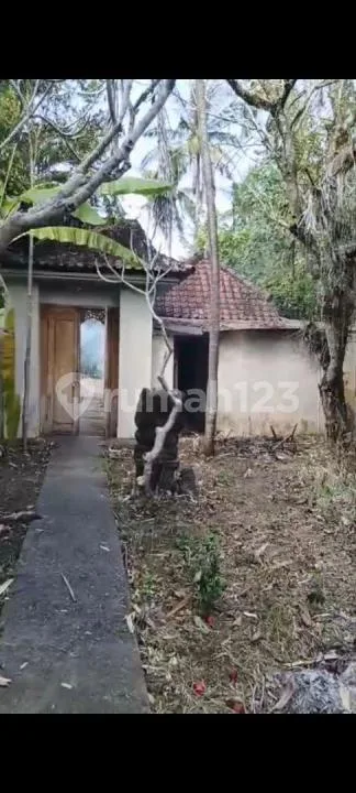 Jual Tanah Bonus Vila Kayu Kolam Renang Siap Renovasi - Image 3 of 4