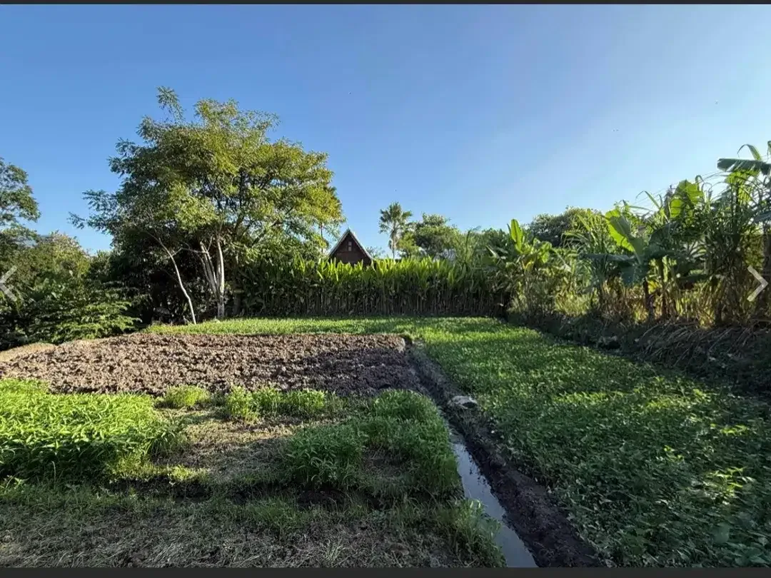 Leasehold - Rare Riverside Leasehold Land in Padonan, Canggu Area - Image 5 of 7