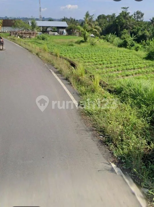 Disewakan Tanah Area Gianyar Luas Tanah 797 MÂ² - Image 3 of 4