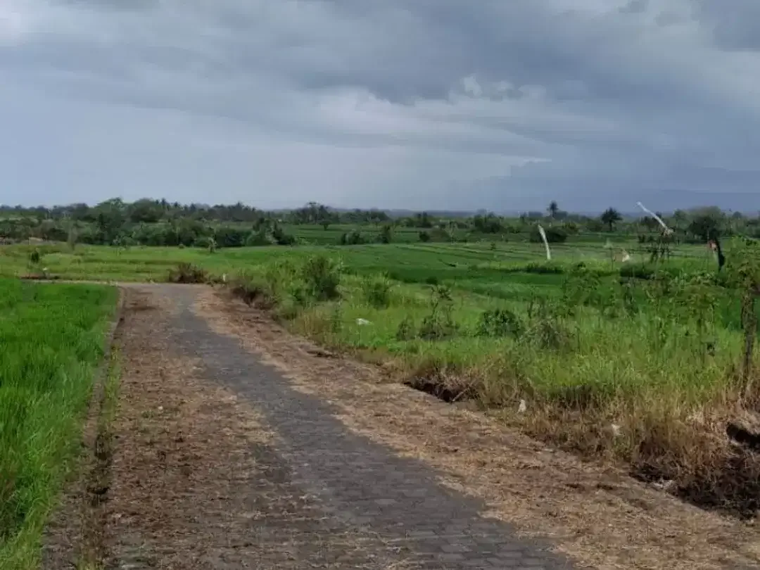 Tanah 5 Are Lokasi Premium Dijual di Kedungu, Tabanan. - Image 6 of 6