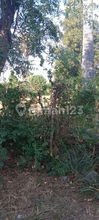 Dijual Lahan Di Pemutaran Bagus Buat Villa - Image 4 of 4