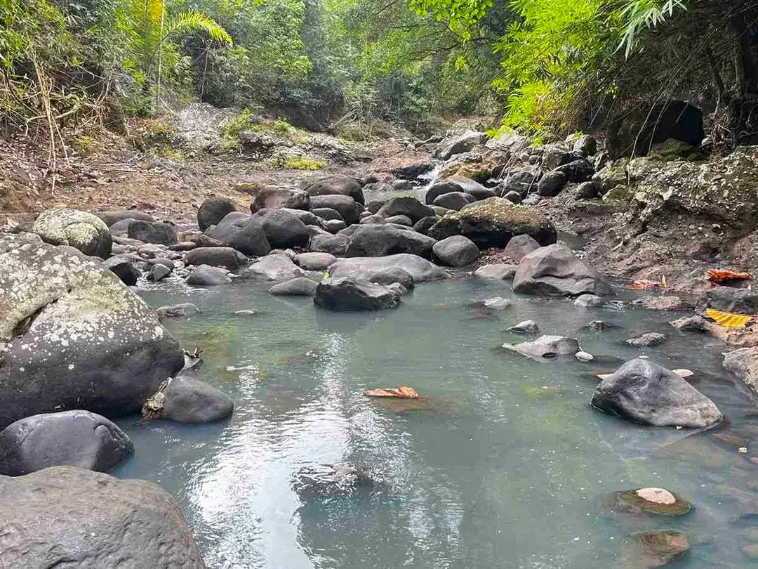 jual tanah Los sungai besar berbatu di desa wisata manikyang tabanan bali. - Image 7 of 10