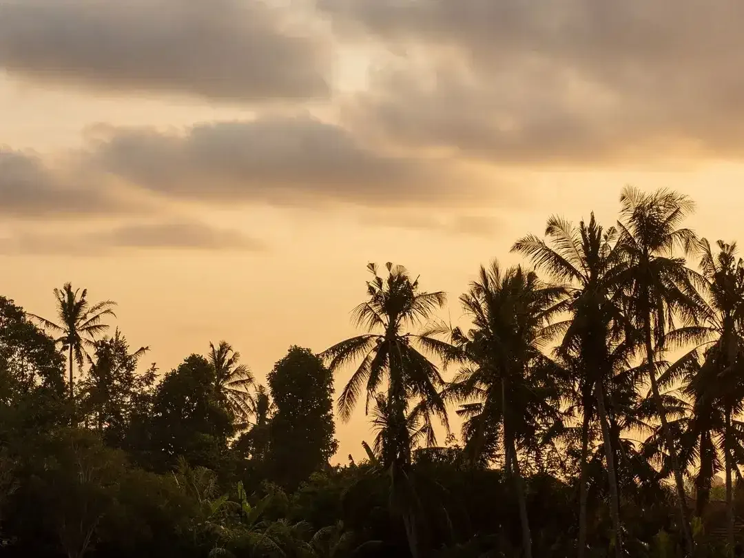 4 Bedroom Villa for sale in Kediri, Bali - Image 4 of 10