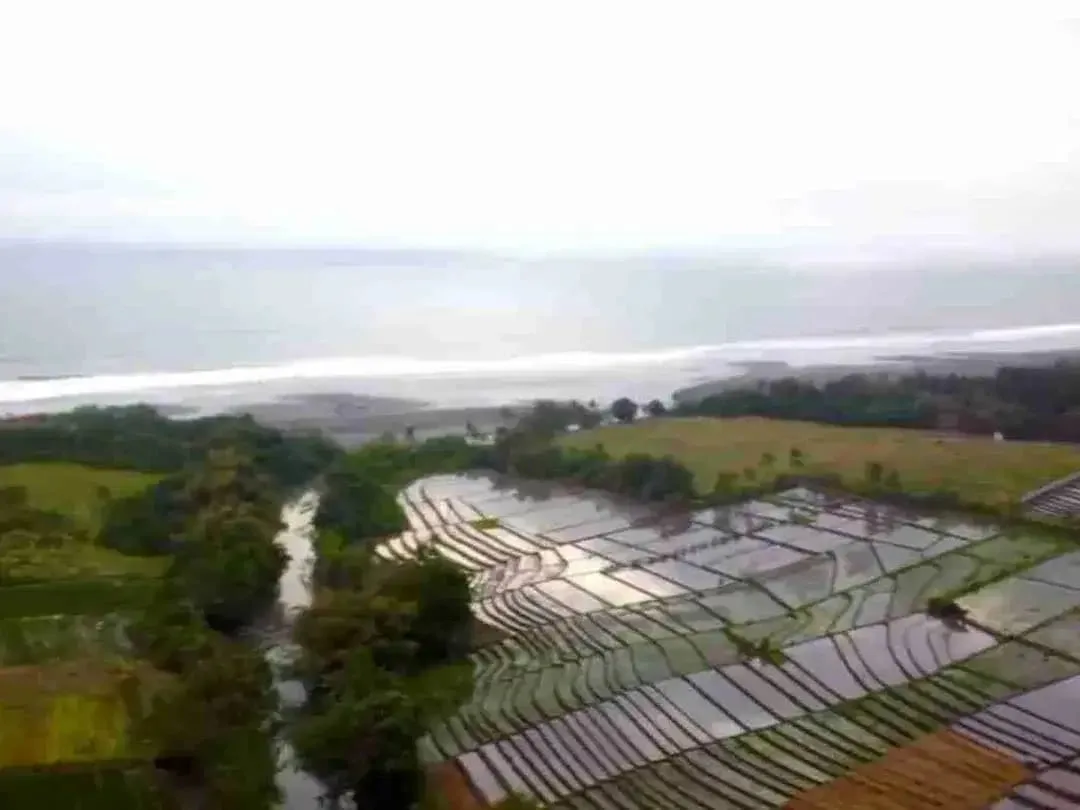 Tanah Kavling Villa View Sawah, Sungai & Laut, Harga Ekonomis di Kelating, Kerambitan, Tabanan dekat Pantai - Image 1 of 10