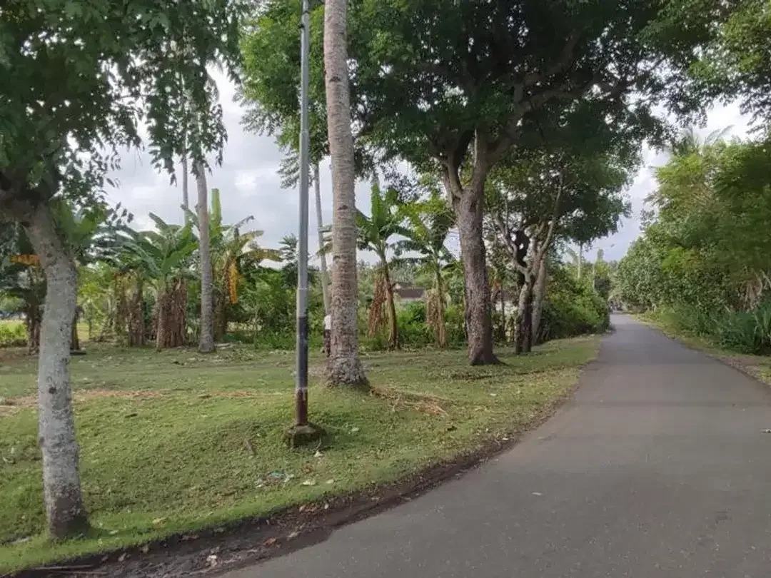 Dijual Tanah Hook Position & Tourism Zone, Los Pantai di Pebuahan – Investasi Pariwisata Bali Barat - Image 5 of 10