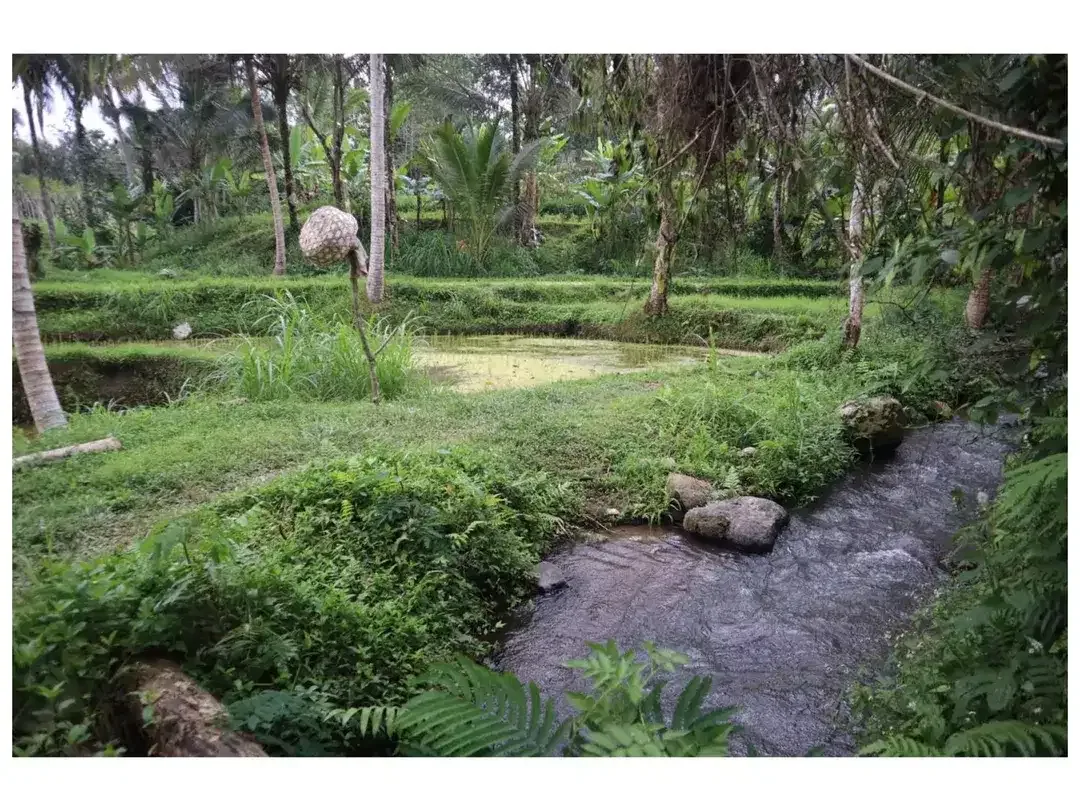 Dijual Tanah Strategis di Desa Apuan, Kecamatan Baturiti, Tabanan - Image 9 of 10