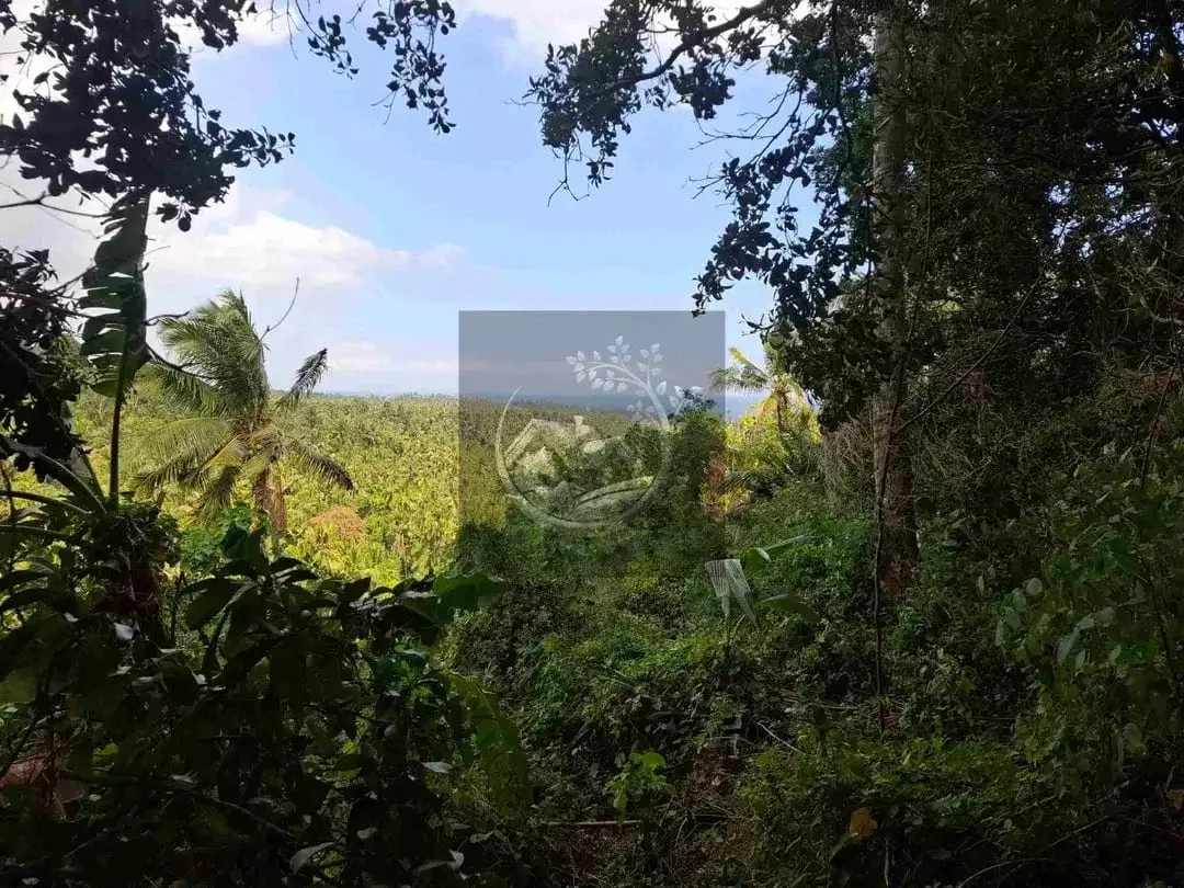 Dijual tanah strategis di kawasan wisata dekat akses jalan denpasar gilimanuk dengan view laut dan los sungai jernir berbatu - Image 3 of 10