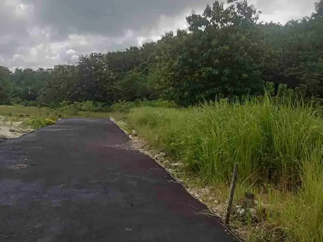 dijual tanah 15 are IDR 450 juta per are dekat poltekpar Bali STP nusa dua - Image 2 of 6
