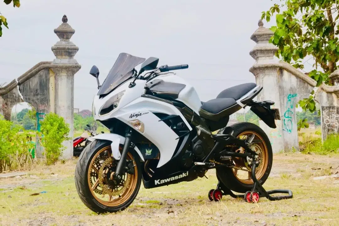 Kawasaki ER6F Rare Putih, ER6, Ninja 250FI, R25, CBR250RR - Image 3 of 4