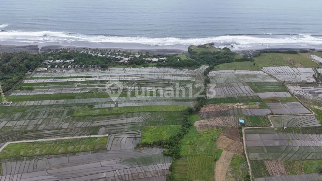 Tanah Kavling 500 M2 SHM Kelating Tabanan - Image 3 of 4