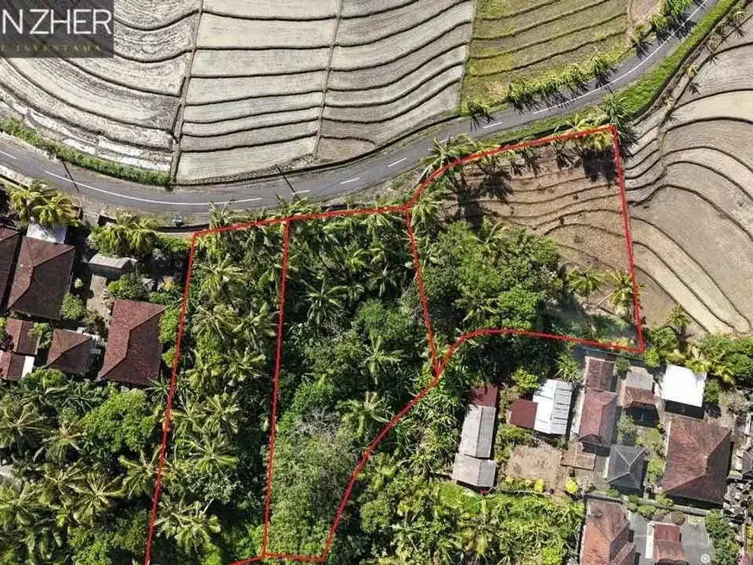 Tanah murah jarang ada view sawah cocok untuk homestay,villa karena dekat pantai di beraban tabanan - Image 4 of 10