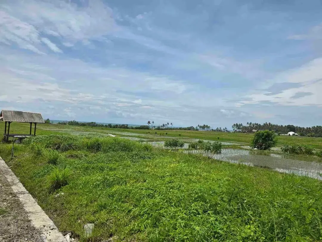 dijual tanah kecil view laut sawah di pantai pasut tabanan bali - Image 8 of 10