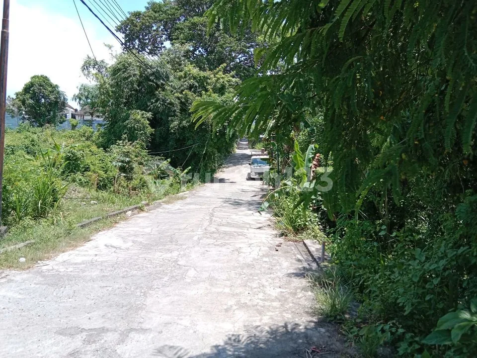 Investor Alert: Tanah Premium SHM 6.960 M2 Mumbul Nusa Dua Bali - Harga Jauh di Bawah NJOP! - Image 4 of 4