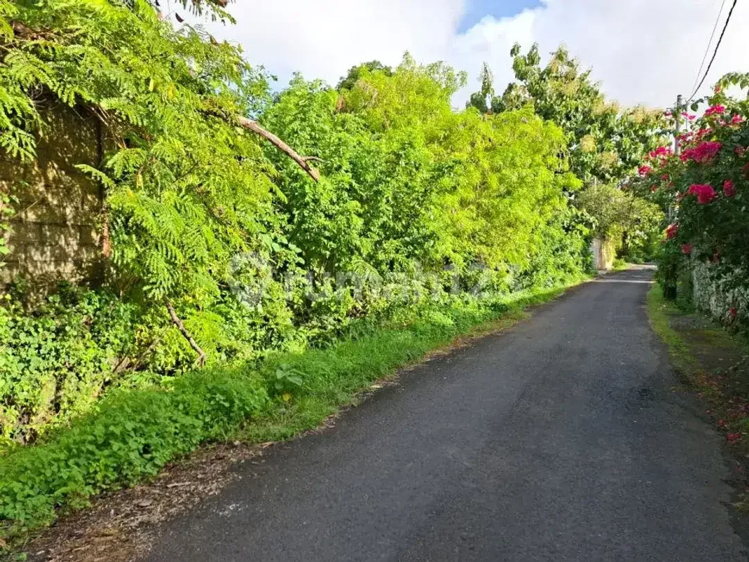 Land For Sale In Jalan Temu Dewi Pecatu Uluwatu, South Kuta, Badung - Bali - Image 3 of 5