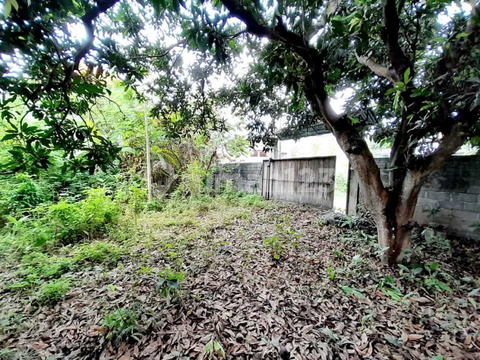 Tanah Siap Bangun di Tukad Badung, Denpasar SHM - Image 4 of 4