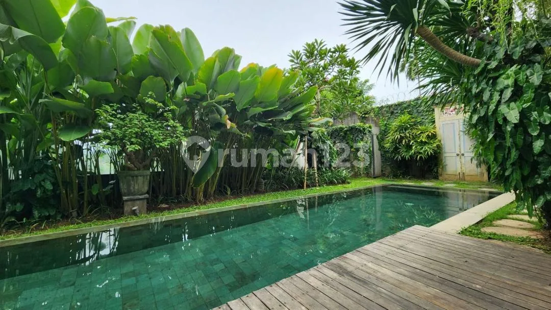Premium 4 Bedrooms Residence With Ricefield View & Garden, In Renon, Near Sanur - Image 2 of 4