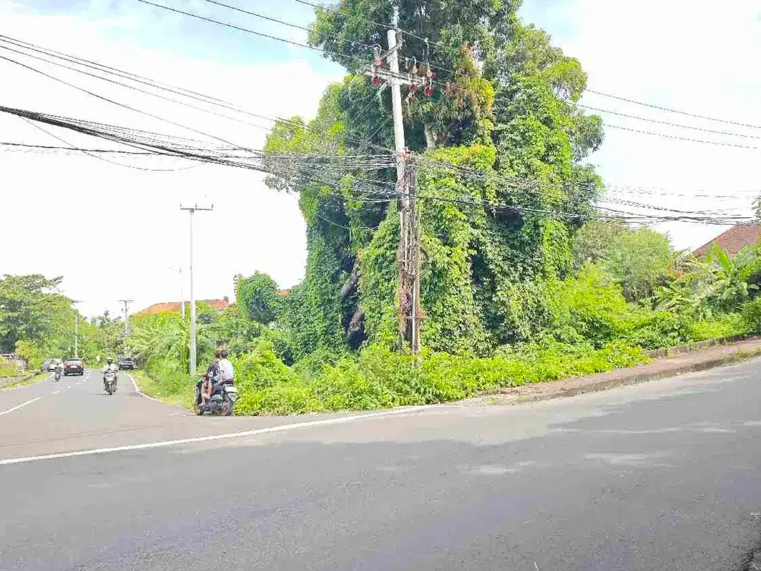 Tanah LIMITED 450 M2 Jl Kampus Unud Jimbaran - Image 8 of 10