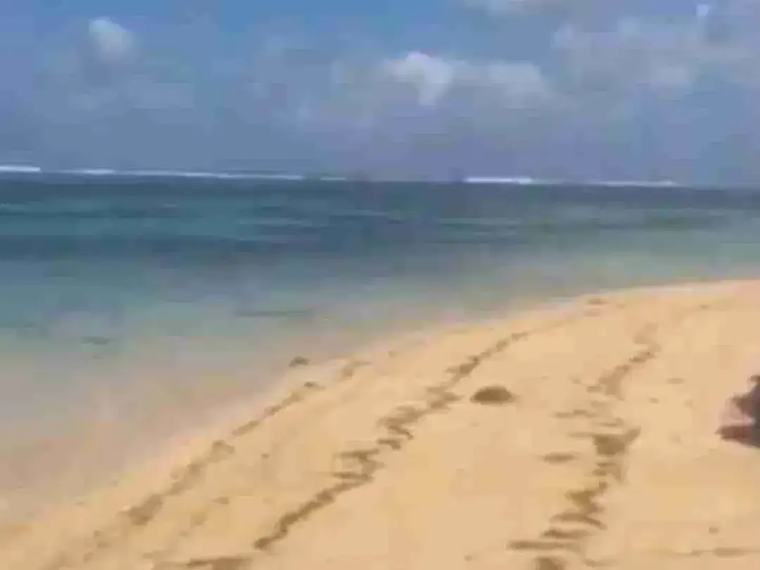 BARANG LANGKA Dijual Tanah Loss Tebing Pantai Nusa Dua Bali - Image 4 of 8