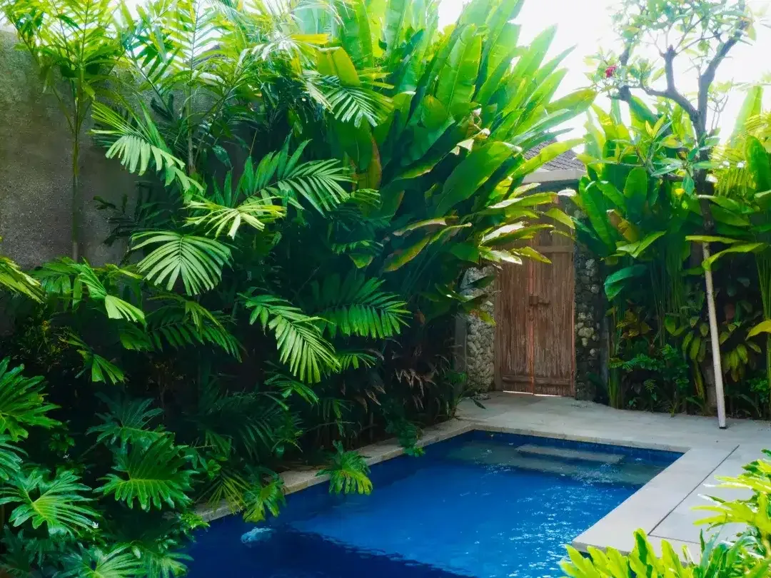 3 Bedroom Villa for sale in Denpasar Selata, Bali - Image 3 of 10