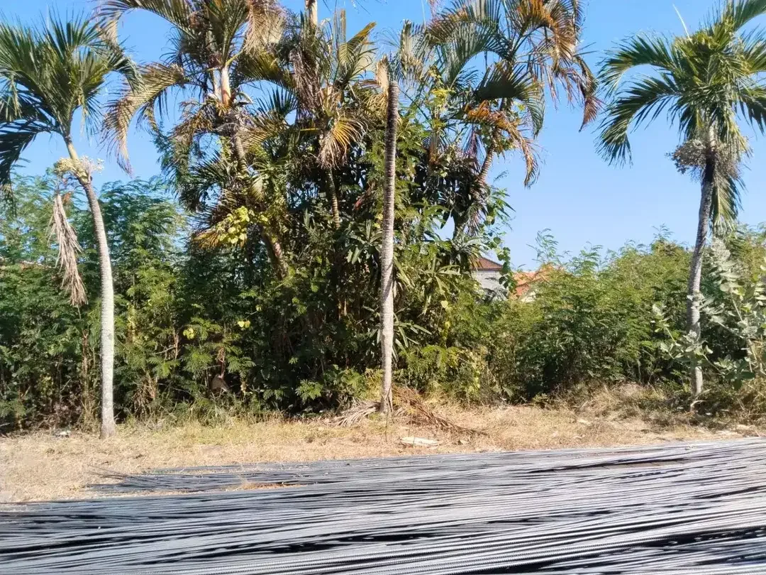 TANAH KOSONG PREMIUM DAN EKSKLUSIF DI BENOA KUTA SELATAN KAWASAN PERUMAHAN - Image 3 of 10