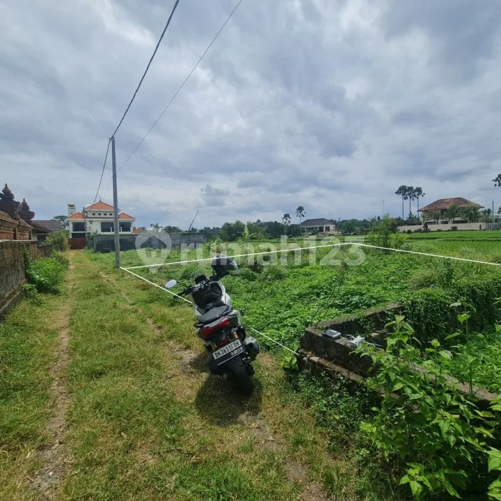 Tanah View sawah Green Belt - Kaba Kaba tabanan 200m2 - Image 4 of 4