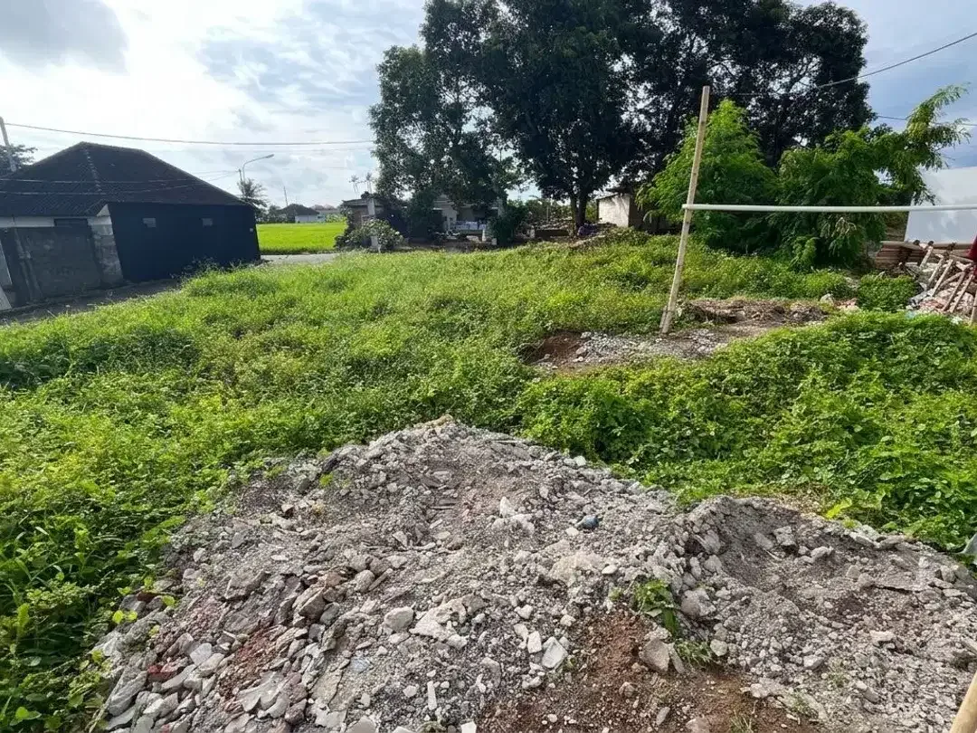 Di jual tanah di Tabanan dekat dengan canggu dan pantai nyanyi bali - Image 7 of 10