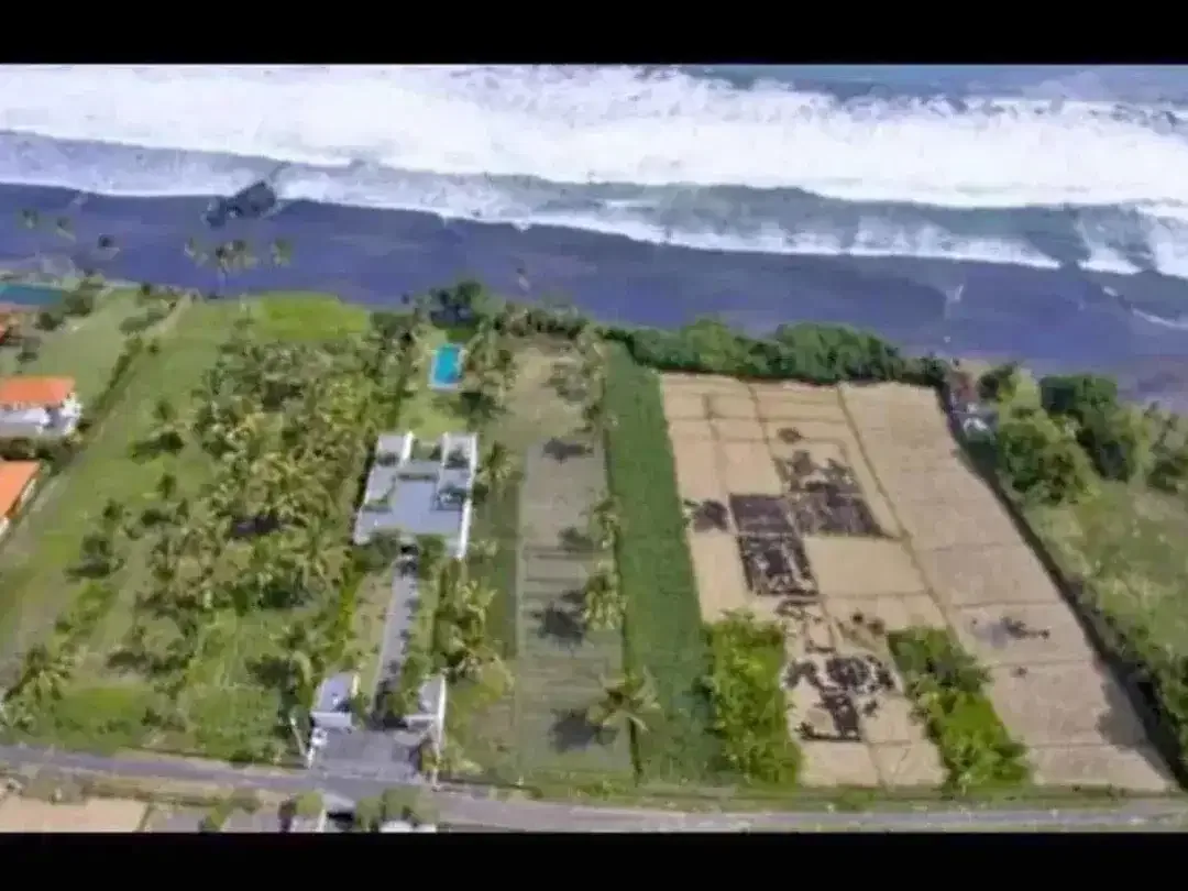 Tanah Los Pantai Pasut Tibubiu Kerambitan Tabanan Dekat Bali Beach Mansion Canggu - Image 3 of 6