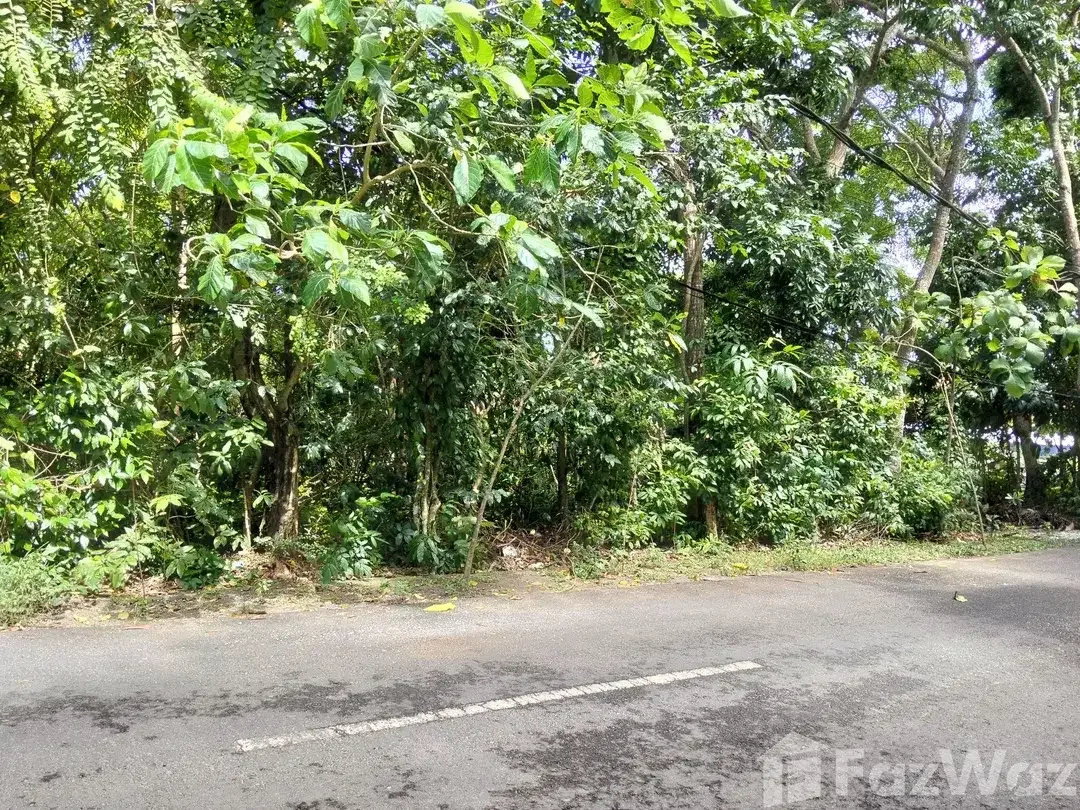 Land for sale in Uluwatu, Bali - Image 4 of 5
