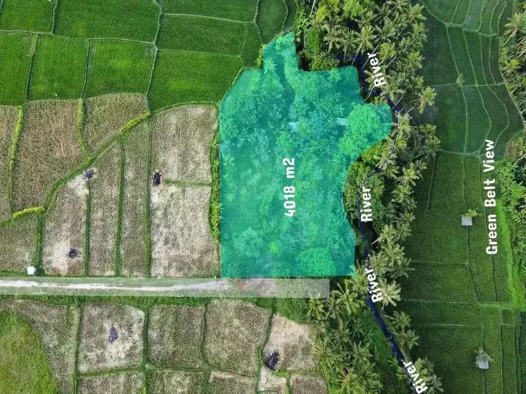 TANAH VIEW SAWAH DAN SUNGAI LOKASI LOT TUNDUH UBUD - Image 6 of 10