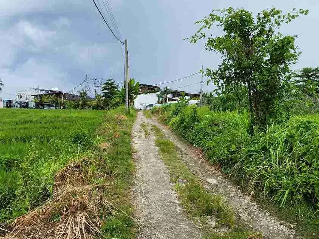 Di jual tanah sangat langka dekat dengan pantai pererenan sangat cocok di bangun villa - Image 3 of 5