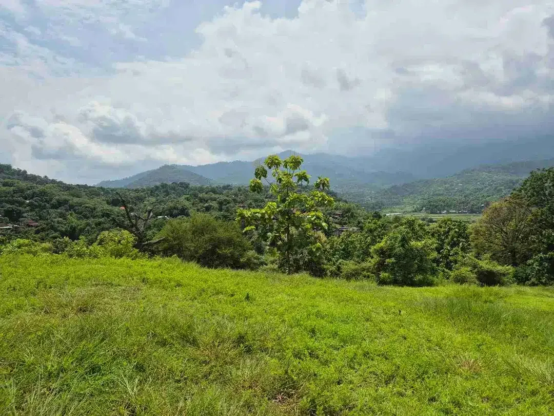 9350 M2 FREEHOLD LAND FOR SALE IN PANGKUNG PARUK SERIRIT BULELENG NORTH BALI - Image 5 of 10