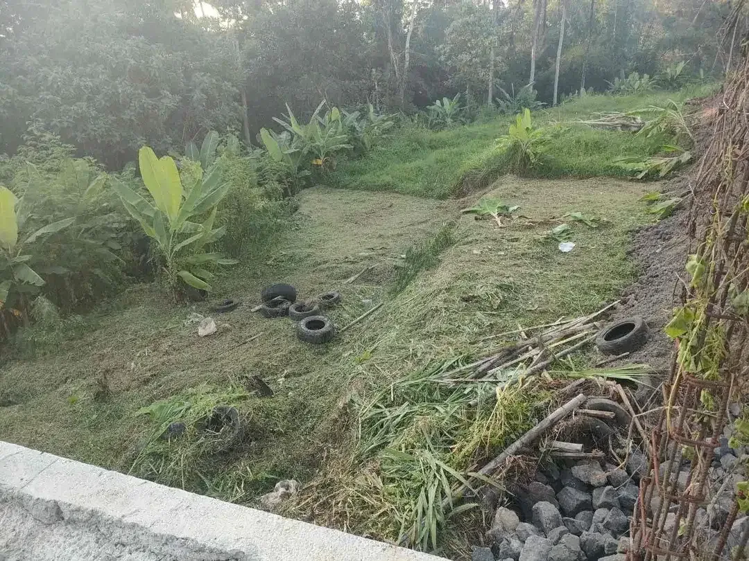 SMALL PLOT RICE FIELD , JUNGGLE AND RIVER VIEW AT SINGAPADU UBUD GIANYAR - Image 5 of 10