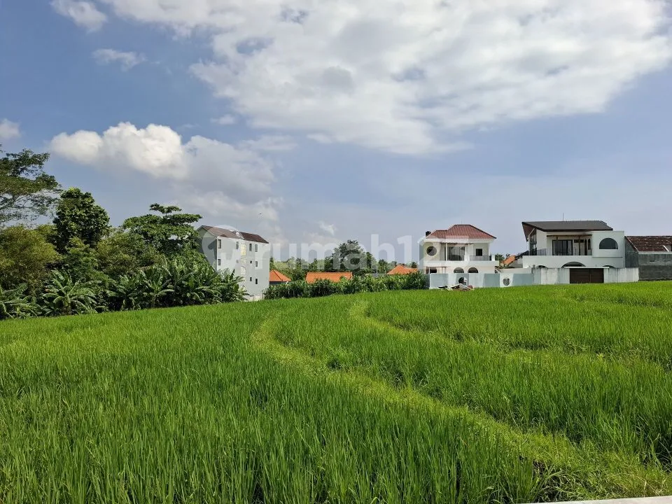 Villa Sewa.di Area Canggu dengan Pemandangan Sawah - Image 1 of 4