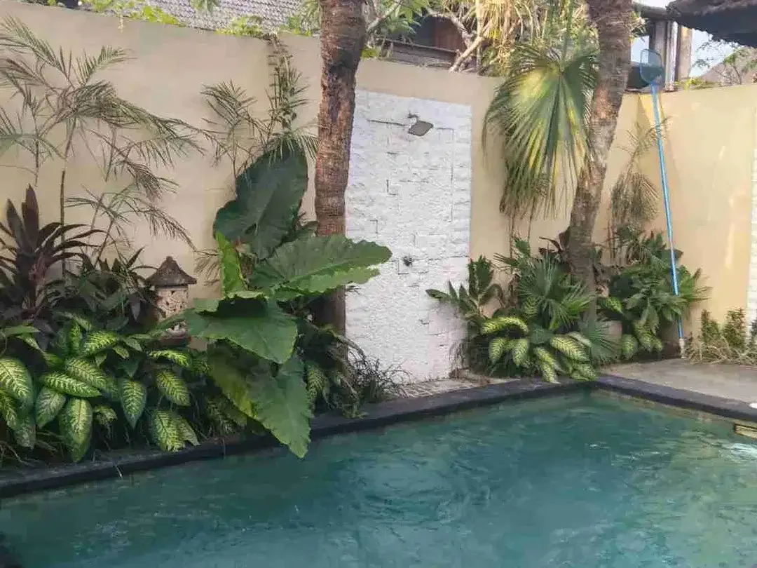 Di kontrakan villa jalan Kutat Lestari , Sanur , Bali - Image 2 of 8