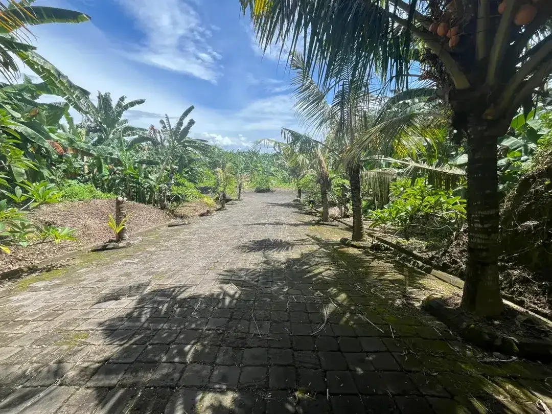 Kavling Premium di Gianyar Cocok untuk Investasi - Image 2 of 7