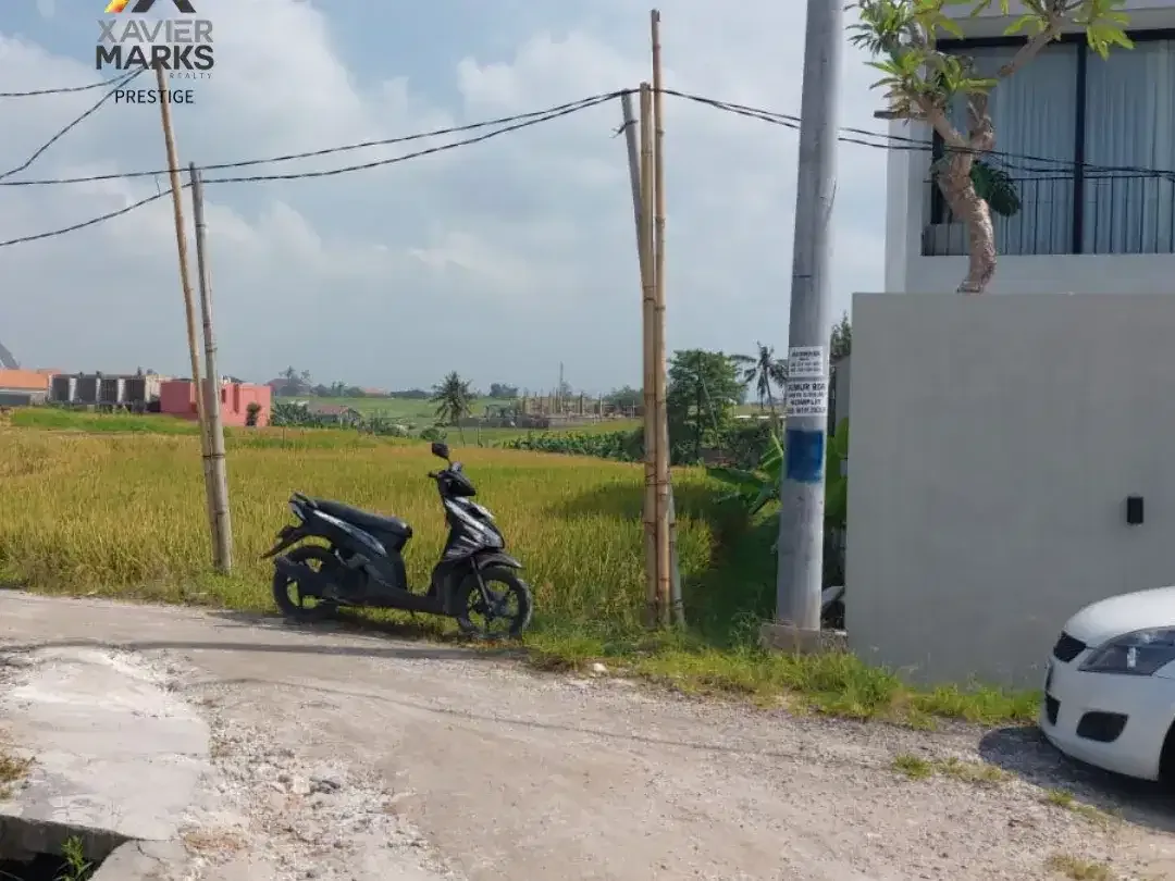 FOR SALE TANAH PREMIUM DI AREA CANGGU DENPASAR BALI - Image 2 of 3