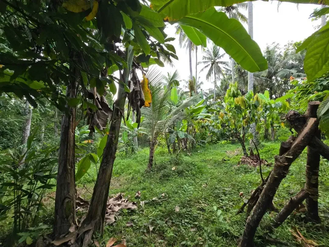 Dijual tanah los sungai view sawah di bali - Image 10 of 10