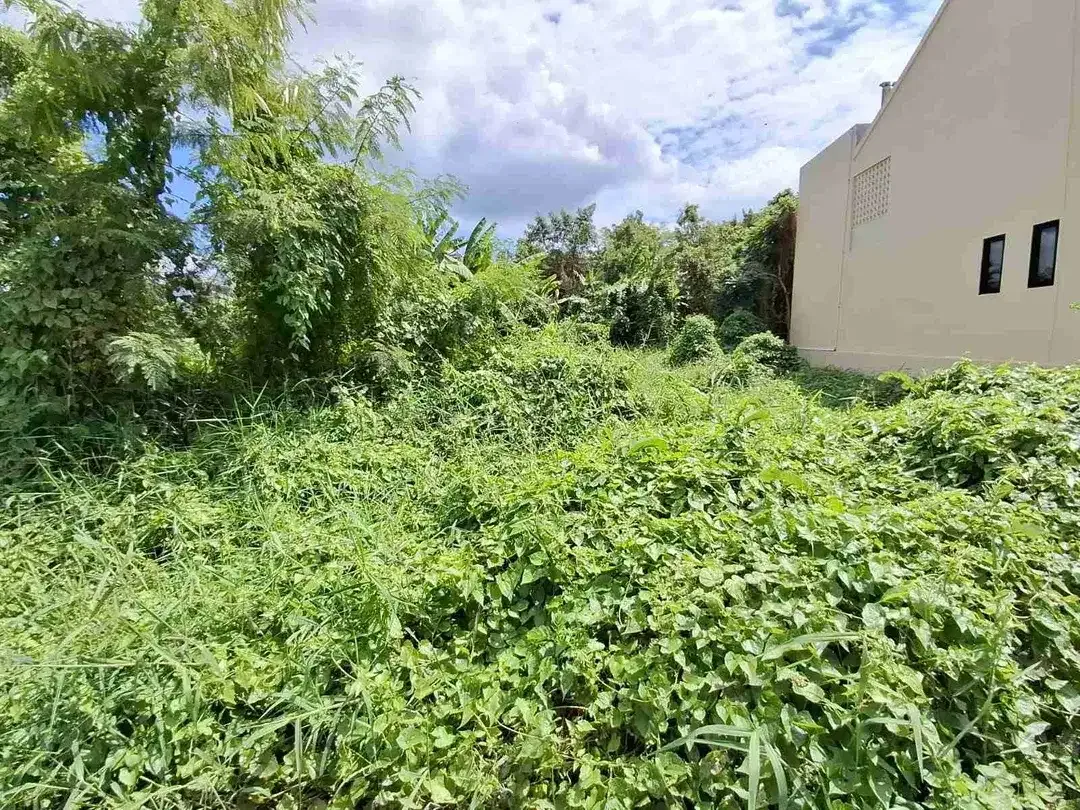 Tanah premium plot kecil sangat langka cocok untuk invest - Image 2 of 7