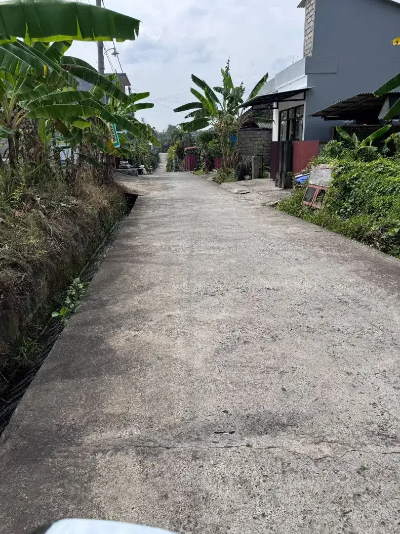 35mnit to Canggu BUC 300m2 - Image 4 of 5