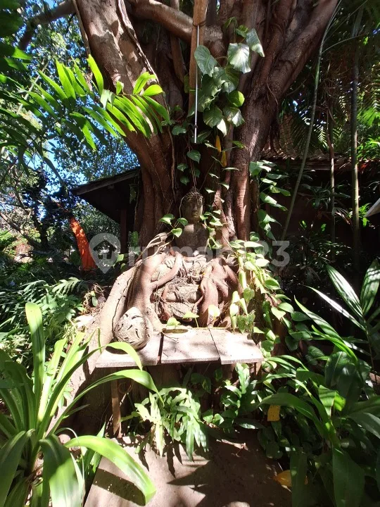 Villa Joglo Hitung Harga Tanah di Legian Seminyak - Image 2 of 4