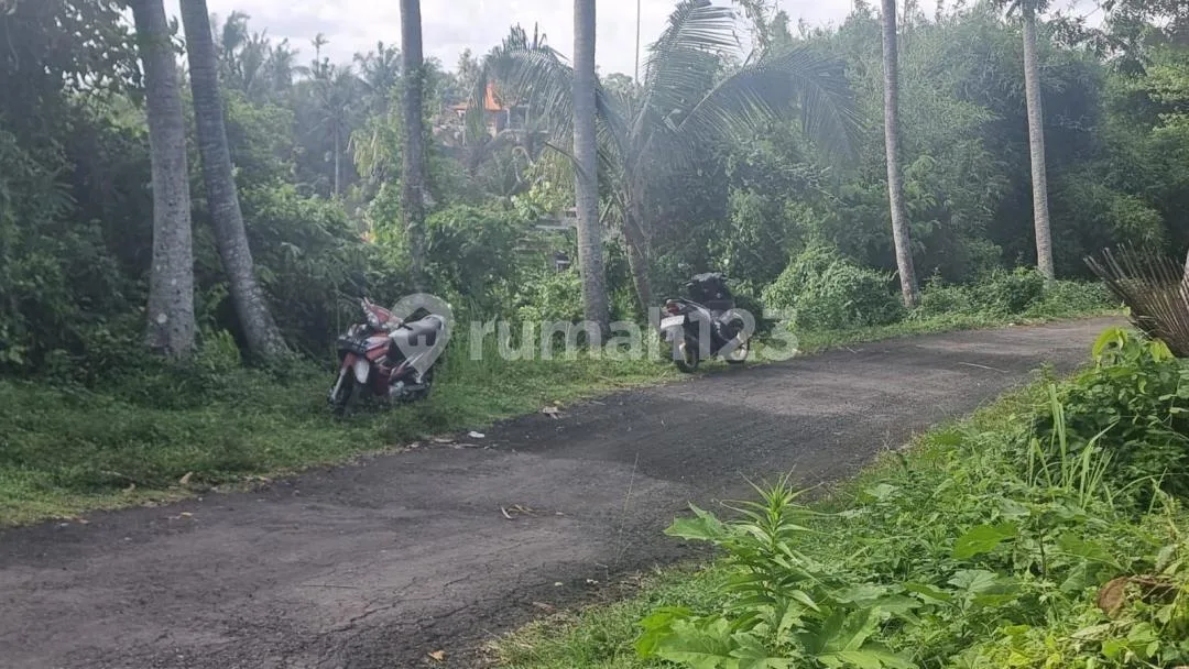 Tanah Jual Lokasi Sukawati - Image 3 of 4