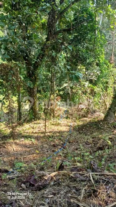Tanah, Strategis SHM, Desa Gadungan Selemadeg Timur - Image 2 of 4