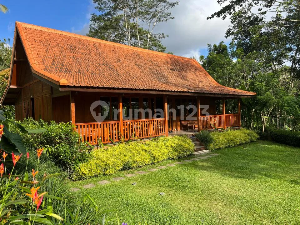 Wooden Joglo Villa Payangan Ubud Beautiful Jungle View - Image 3 of 4