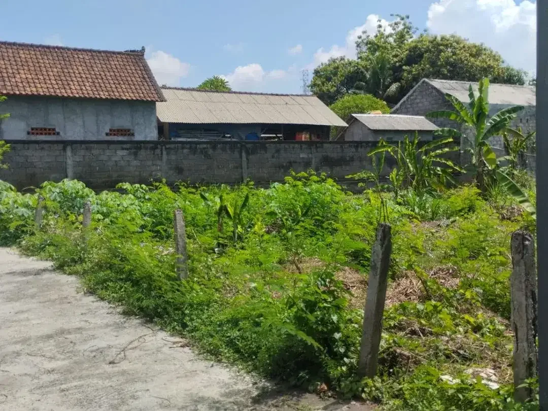 Tanah Siap Bangun Free Pajak Pembelian Serongga Gianyar Bali - Image 1 of 6