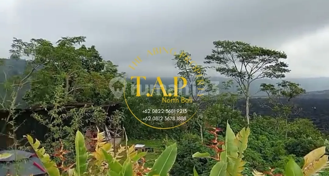 51 Are Shm Full Batur Mountain & Lake View Kintamani Bangli Bali - Image 4 of 4