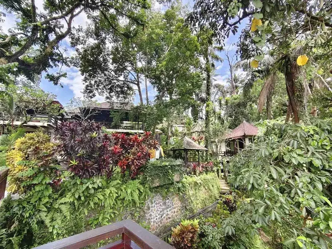 Dijual Cepat Tanah Bonus Bangunan Hotel di Kedewatan Ubud - Image 6 of 10