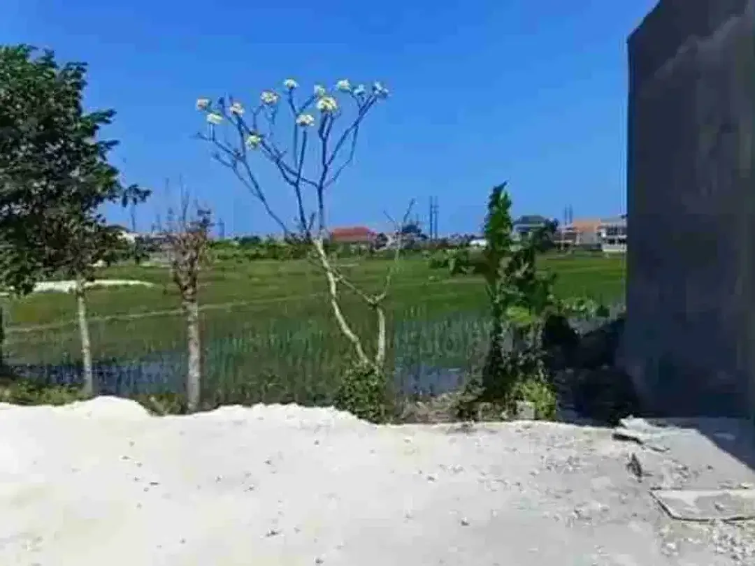 Dijual Tanah Kavling 200 m² di Renon Denpasar, SHM, Lokasi Strategis Dekat Jalan Utama - Image 2 of 6