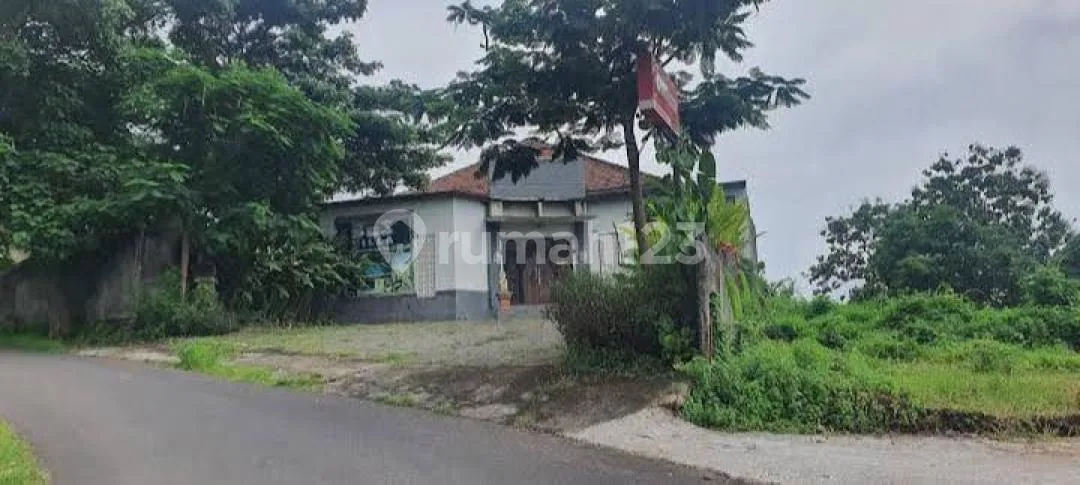 Villa Lodge View Perbukitan Strategis Pusat Wisata di Lovina - Image 4 of 4