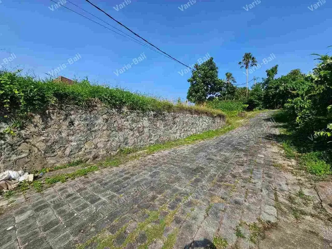 DIJUAL TANAH PANTAI PERERENAN - Image 3 of 10